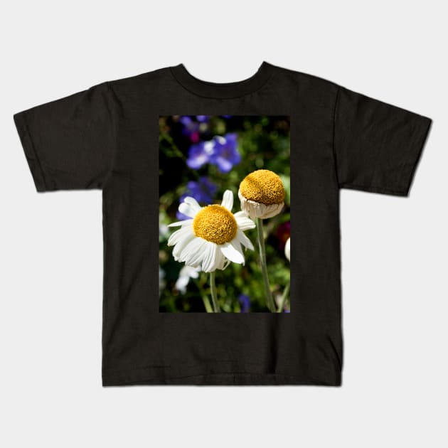 Daisies in the afternoon sun Kids T-Shirt by heidiannemorris